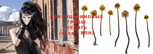 винт Балахна