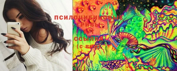 эйфоретик Баксан