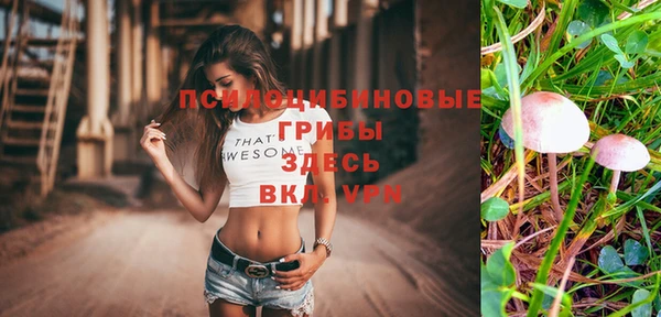 эйфоретик Баксан